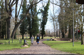 2 Personen auf Parkweg vor Baumgruppe